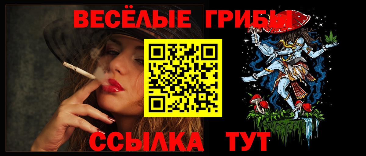 Галлюциногенные грибы ЛСД Тайшет